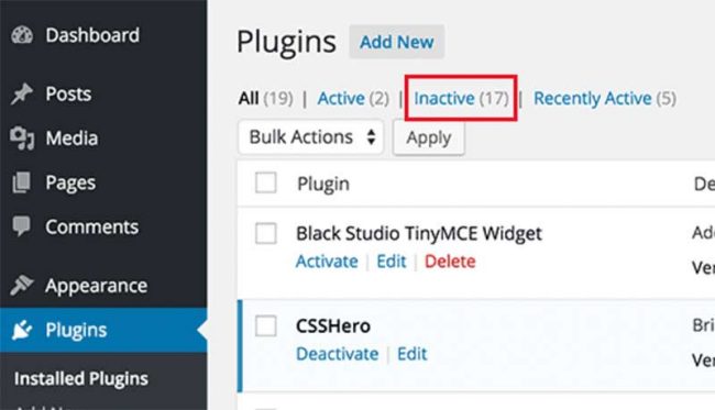 Remove Unnecessary Plugins And Themes
