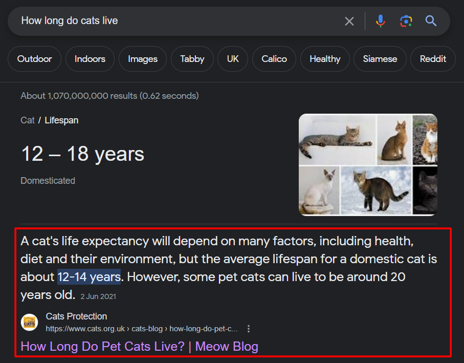 how long do cats live